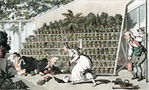 1816: Misfortune in the Tulip Hall: Thomas Rowlandson