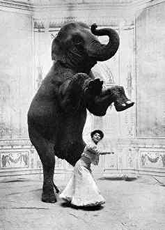Docile: Miss Orford and her performing elephant