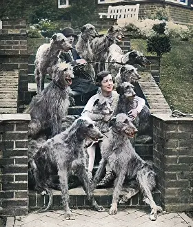 Deerhound: Miss Richmond and her deerhounds