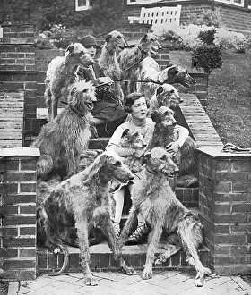 Deerhound: Miss Richmond and her deerhounds