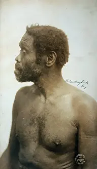 Chested: The missing link, 1