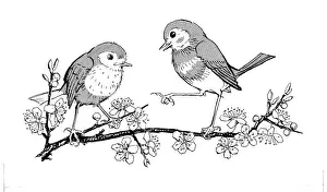 Storycard: The Missing Waistcoat - 2 birds on a branch