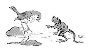 Storycard: The Missing Waistcoat -bird and frog