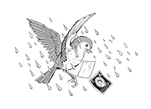 Storycard: The Missing Waistcoat - bird in the rain