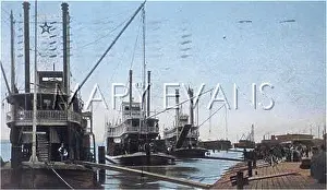 Levee: MISSISSIPPI STEAMERS