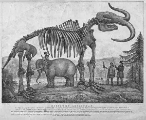 Mastodon: Missouri Leviathan
