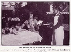 Monkeys: Mistinguett dining with her pet monkey