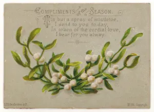 Viscum: MISTLETOE/CARD/COMPLIMEN