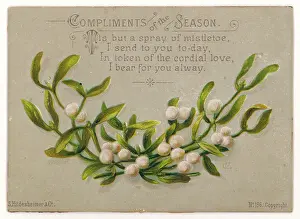 Compliments: Mistletoe - Card - Complimnt