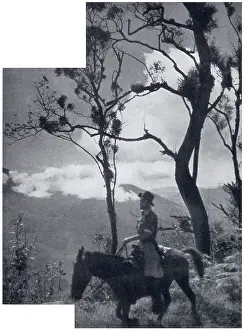 Jul24: In the Misty Highlands of Chiapas Province