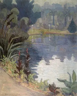 Ponds: Misty Morning