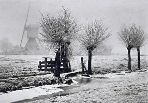 Laurens: Misty winter day