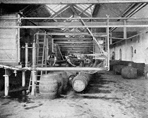 Casks: Mitchells and Butlers Brewery