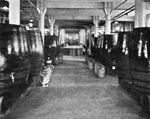 Casks: Mitchells and Butlers Brewery
