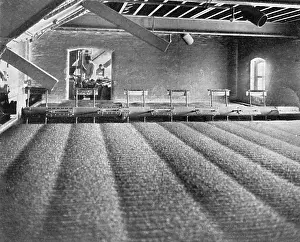 Smethwick: Mitchells and Butlers Brewery Kiln