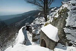 Rehfelsen: Mittel Rehfelsen