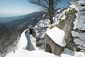 Rehfelsen: Mittel Rehfelsen
