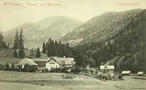Collotype: Mitterndorf. Wiesen- and Waldvilla. 1906. Colltype