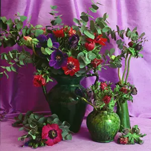 Millar: Mixed Anemones in Green Pots