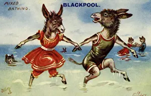 Frolicking: Mixed bathing