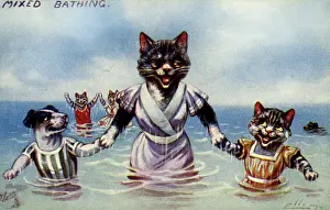 Frolicking: Mixed bathing