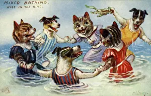 Ellam: Mixed bathing