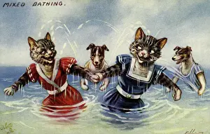 Frolicking: Mixed bathing