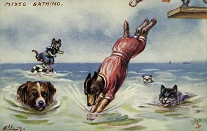 Frolicking: Mixed bathing