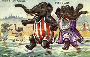 Frolicking: Mixed bathing