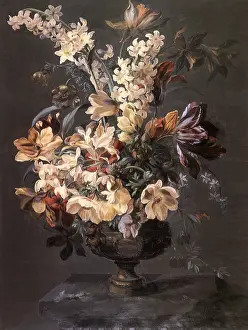 Moser: Mixed Flowers in an Urn
