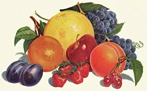 Oranges: Mixed Fruit