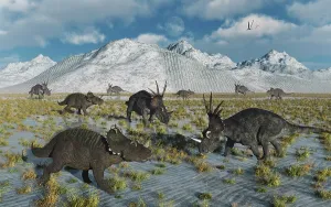 Styracosaurus: A mixed herd of Centrosaurus and Styracosaurus dinosaurs