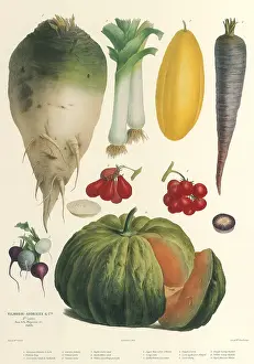 Mlle: Mixed Produce Botanical