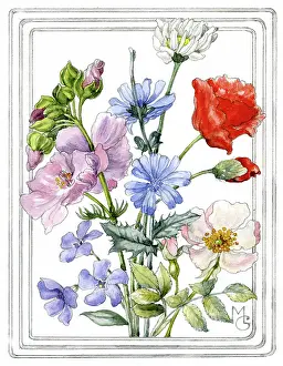 Periwinkle: Mixed Summer Flowers