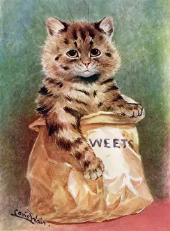 Sweets: Mixed Sweets, comical cat in a bag of sweets