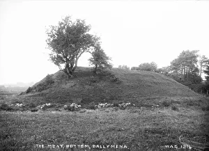 Moat: The Moat, Bottom, Ballymena