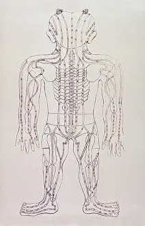 Acupuncture: Model for acupuncture, an engraving from ?