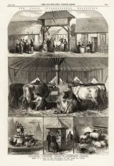 Trade Show: A model farm at the Paris Exposition, 1867