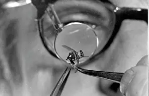 Achurch: Model fly for use in spying