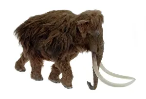 Epitheria: Model of the Ilford Mammoth