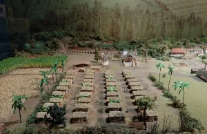 Daquitaine: Model of plantation, Musee d'Aquitaine, Bordeaux
