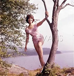Sunsuit: MODEL IN SUNSUIT 1960S