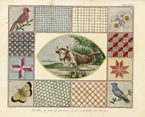 Lattice: Models for embroidered muslin purses