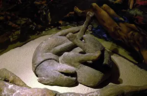Canini: Models of Pompeii victims
