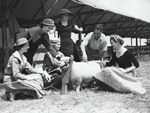 Digby: Models with South Down sheep, England