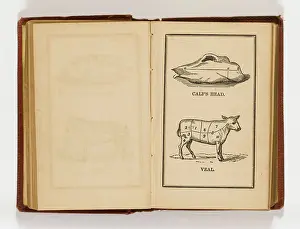 Veal: Modern Domestic Cookery