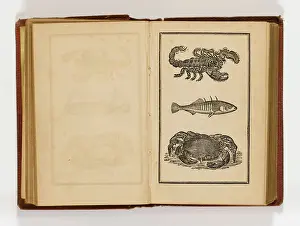 Embellishing: MODERN DOMESTIC COOKERY
