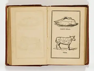 Veal: Modern Domestic Cookery