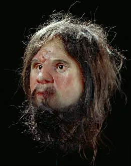 Gough: Modern Homo sapiens, Cheddar Man