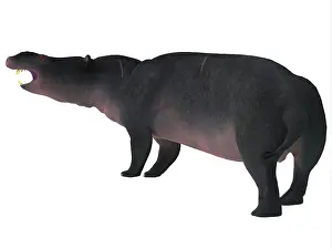 Eocene: Moeritherium mammal, side view